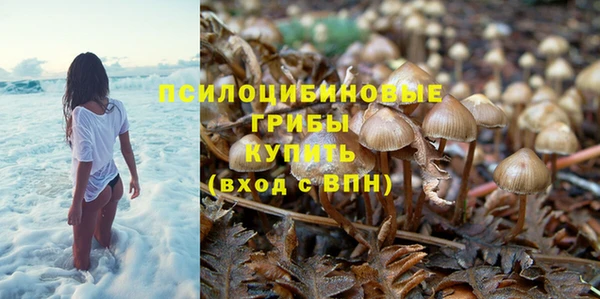 молекула духа Нязепетровск