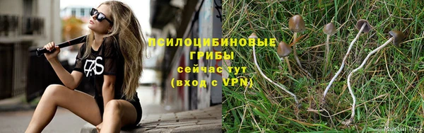 амф Беломорск
